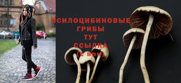 дмт Арсеньев