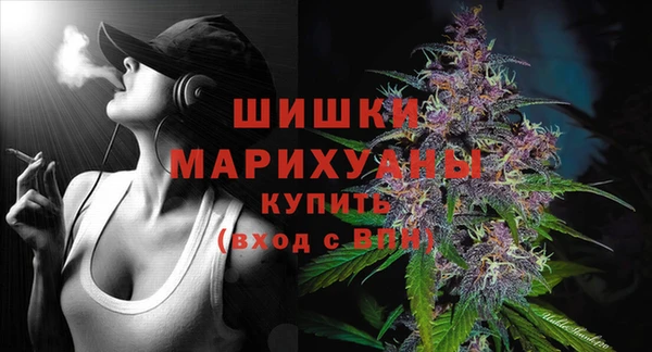 дмт Арсеньев