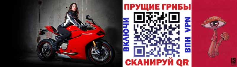OMG как зайти  Суздаль  Галлюциногенные грибы Cubensis 